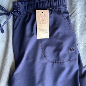 Albion Fit Everywhere Joggers in True Blue